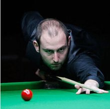 了适应期 了适应期